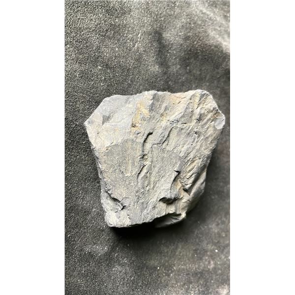 SHUNGITE