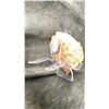 Image 2 : AZURITE SPECIMEN RETAIL $380