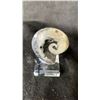 Image 2 : 2 GONIATITE FOSSIL SPECIMENS RETAIL $300EA