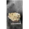 Image 2 : GREEN FLUORITE SPECIMEN RETAIL $500
