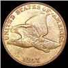 Image 1 : 1857 Flying Eagle Cent NEARLY UNCIRCULATED