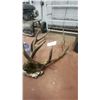 Image 2 : Set Of Antlers