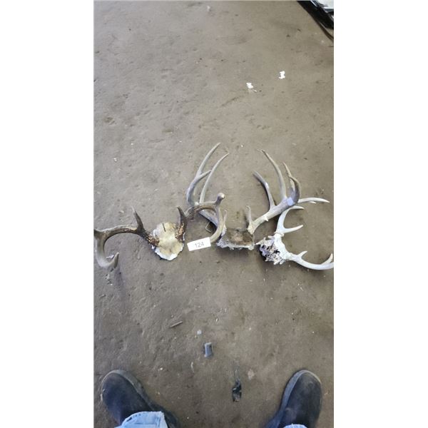 3-Antlers