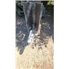 Image 7 : Home Made Log Splitter With 4 cyc Motor