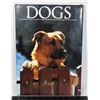 Image 1 : COFFEE TABLE BOOK: DOGS (1991)