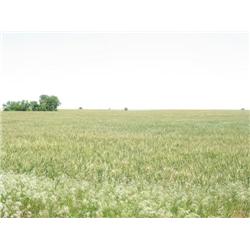 The NW/4 of Sec. 32, Twp. 23N, R. 9 W.I.M., Major Co., Ok, less and except 3.5 acres and the home