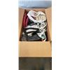 Image 1 : BOX OF EXTENTION CORDS, C9 BULBS AND LIGHTS