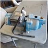 Image 1 : BLUE PUMP