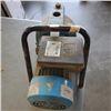 Image 2 : BLUE PUMP