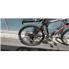 Image 2 : GREY GIANT BIKE