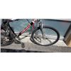 Image 4 : GREY GIANT BIKE