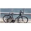 Image 1 : GREY EVO BIKE