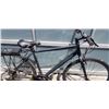 Image 3 : GREY EVO BIKE