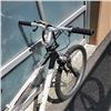 Image 3 : WHITE RINCON BIKE
