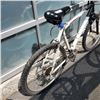 Image 4 : WHITE RINCON BIKE