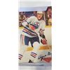 Image 2 : 1982 WAYNE GRETZKY POSTER