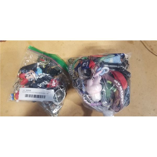 ASSORTED COLLECTIBLE KEYCHAINS AND LED USB LIGHT BAR