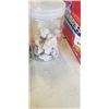 Image 2 : COLLECTIBLE MARBLES, SHELLS, AND VINTAGE KIDS BIG LITTLE BOOKS
