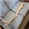 Image 2 : CARIBOO ANTLER