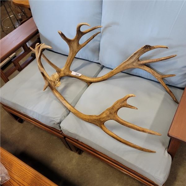 ELK ANTLERS