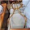 Image 2 : ELK ANTLERS