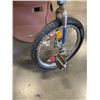 Image 2 : UNICYCLE