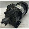 Image 2 : Bison #016-226-6019 AC Gear Motor