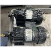Image 3 : (2) Bison #016-226-6019 AC Gear Motor