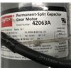 Image 4 : Dayton #4Z063A Permanent-Split Capacitor Gear Motor