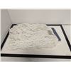Image 1 : TÊTE DE MOP AGF 14016