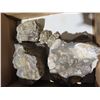 Image 2 : Box of fossils