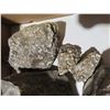 Image 3 : Box of fossils
