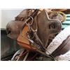 Image 3 : Antique beautiful brown colored saddle- 21"wide