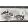 Image 2 : Beautiful bald eagle framed print, by Dallen Lambson - 22.5"x12.5"H