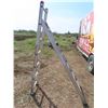 Image 1 : 6'-13' extension  ladder