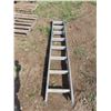 Image 2 : 16' extension ladder