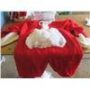 Image 2 : santa suit