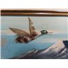 Image 2 : 8.5x11 framed flying duck