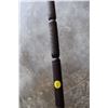 Image 3 : Ebony Walking Stick- Horn Handle
