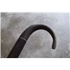Image 4 : Ebony Walking Stick- Horn Handle