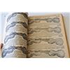 Image 2 : 1906 Sear Roebuck - Catalog- Copy