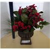 Image 1 : Christmas Plant in vase
