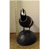 Image 2 : Taxidermy Mounted Duck