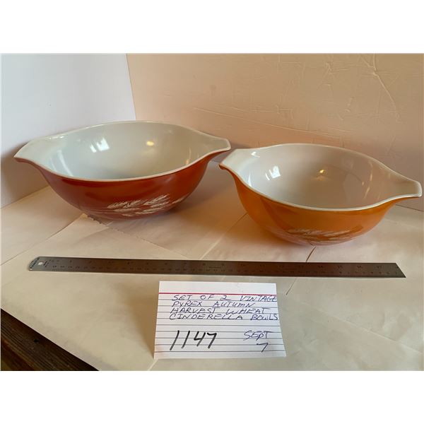 two Pyrex Autum Harvest bowls