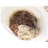 Image 2 : five pails of assorted hardware , nails , screws , nuts and bolts