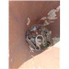 Image 2 : concrete dump pail
