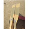 Image 2 : pair of paddles