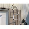 Image 3 : Extendable Ladder