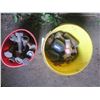 Image 1 : two buckets of bolts