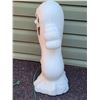 Image 2 : Ghost blow mold